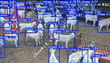 零代碼，拖拽式開發，小時級產出——AI視覺開發從未如此簡單